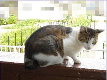 6月18日（43）仮