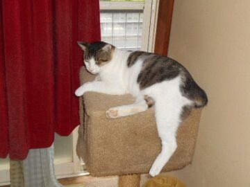 7月19日（44）仮