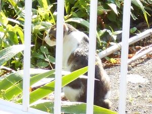 6月13日（17）仮