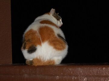 9月23日（22-17）仮