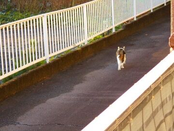 10月23日（41）仮