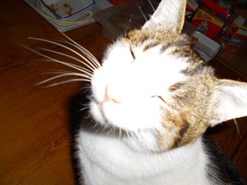 12月31日（35）仮