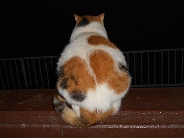 9月28日（20-1）仮