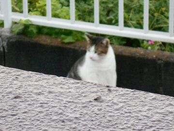 8月24日（45）仮