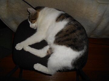 9月24日（7-5）仮