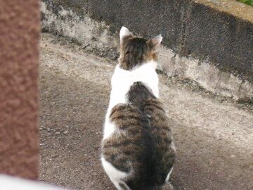 9月11日（22）仮