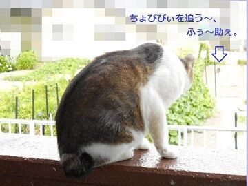 6月18日（44）仮