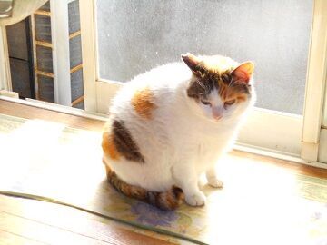 5月13日（7）仮i