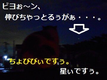 2月10日(9)仮