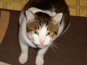 12月13日（49）仮