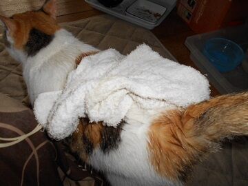 9月26日（6-6）仮