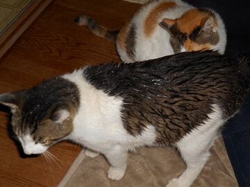 6月25日（14）仮