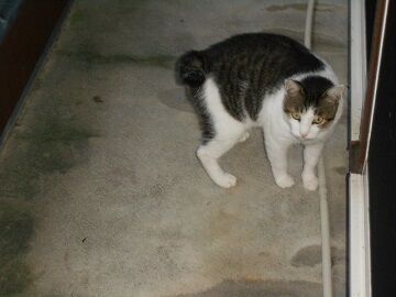 7月30日（42）仮