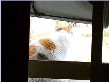 6月12日（23）仮