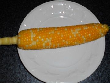 DSCN2547