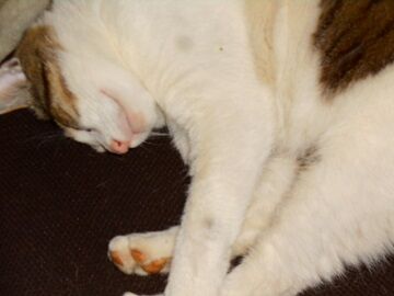 5月22日（45）仮