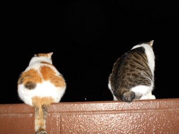 9月8日（19-9）仮