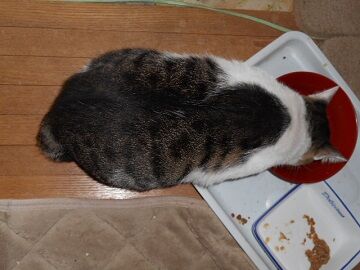 9月22日（12-4）仮