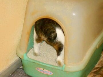 10月20日（41）仮