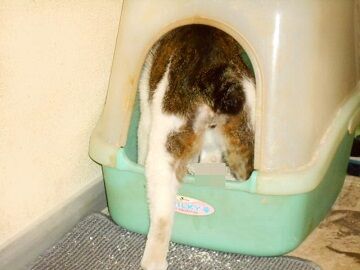 5月19日（25）仮