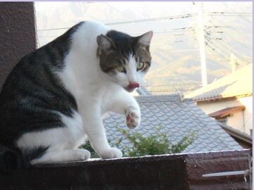 10月4日（59）仮