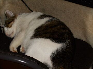 9月30日（8-2）仮