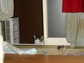 10月6日（31）仮