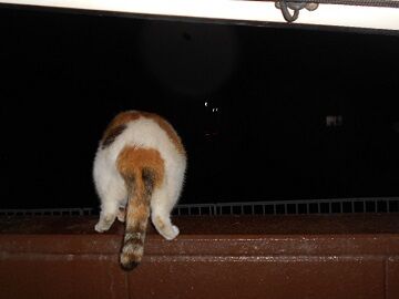 9月10日（18-3）仮