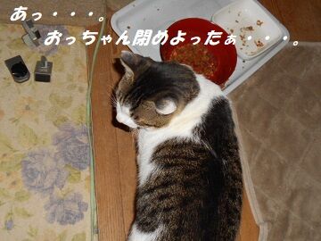 9月30日（22-6）仮