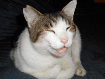 6月25日（32）仮