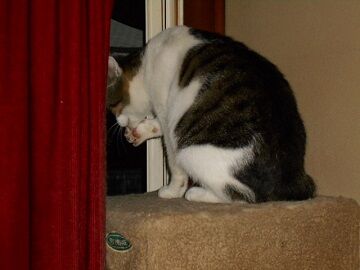 9月27日（18-24）仮