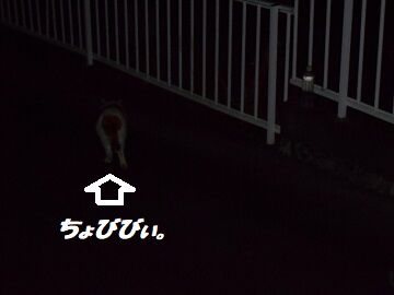 10月22日(22-7)仮