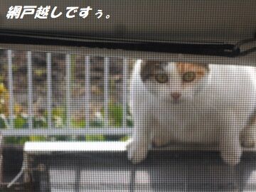 10月2日（7-4）仮