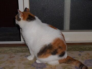 9月17日（5-11）仮