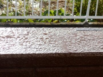 9月16日（17）仮