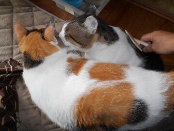 9月16日（10-10）仮