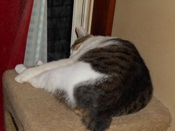 9月14日（23-2）仮