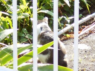 6月13日（14）仮