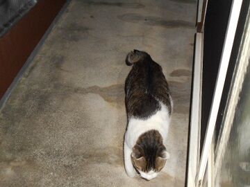 9月23日（3-13）仮