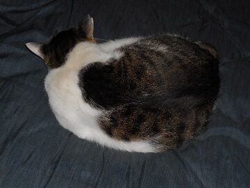 9月21日（9-4）仮