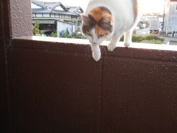 9月28日（5-5）仮