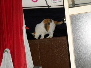 9月27日（5-6）仮