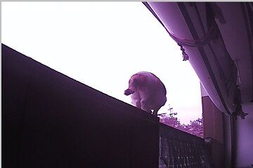 12月30日（22.35）仮