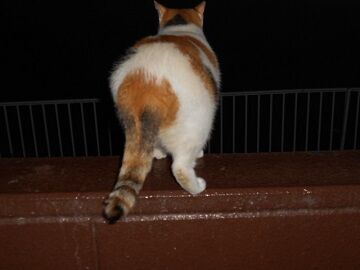 9月27日（18-5）仮