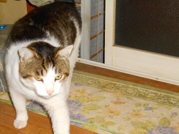 5月25日（15）仮