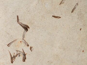 10月27日(36)使用