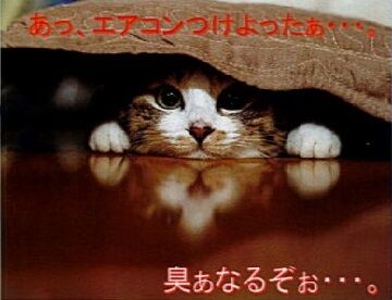 とらやん