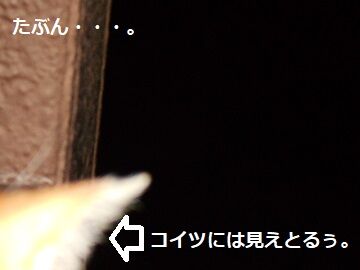 6月20日（67）仮