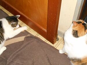 8月23日（75）仮