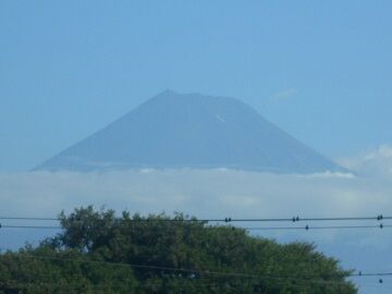 8月13日（25）仮